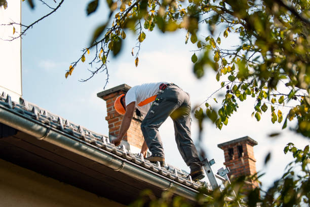 Best Storm Damage Roof Repair  in Vamo, FL