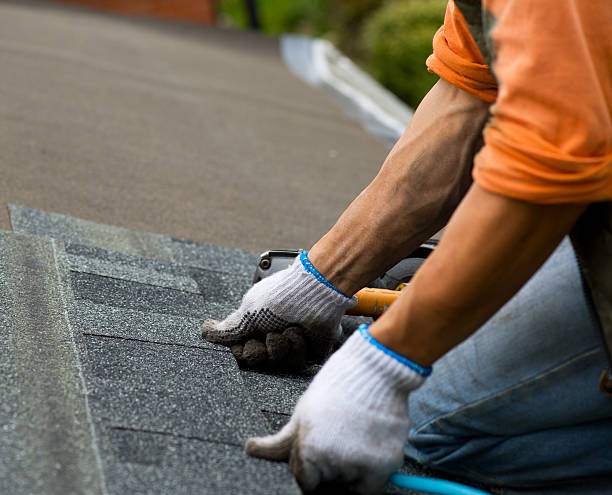 Best Flat Roof Repair Services  in Vamo, FL